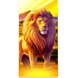 Lion
Safari